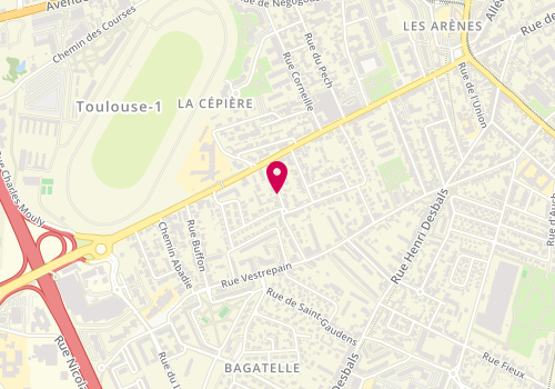 Plan de DAVRIEUX Laetitia, 27 Ter Rue Jules Tellier, 31100 Toulouse