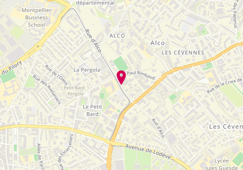 Plan de AGUNAOUN Assïa, 1000 Rue d'Alco, 34087 Montpellier