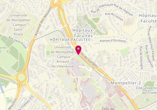 Plan de HOMBERGER Sophie, 371 Avenue du Doyen Gaston Giraud, 34295 Montpellier