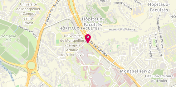 Plan de CICCARELLI Manon, 371 Avenue du Doyen Gaston Giraud, 34295 Montpellier
