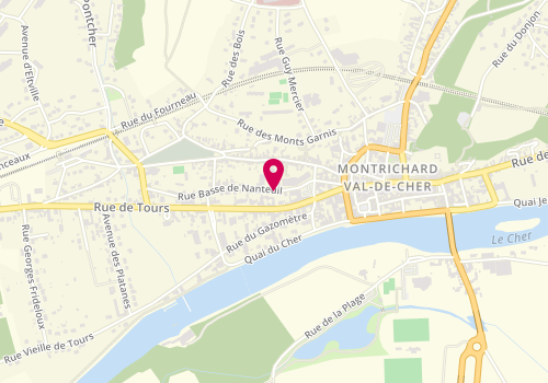 Plan de ALPHONSE Marie, 6 Rue Basse de Nanteuil, 41400 Montrichard-Val-de-Cher
