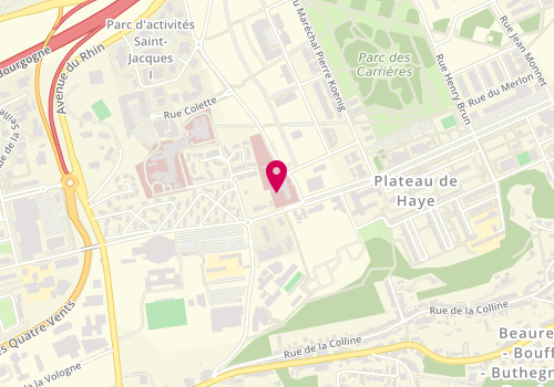 Plan de PALMITESSA Marie-Madeleine, 95 Rue Ambroise Paré, 54000 Nancy